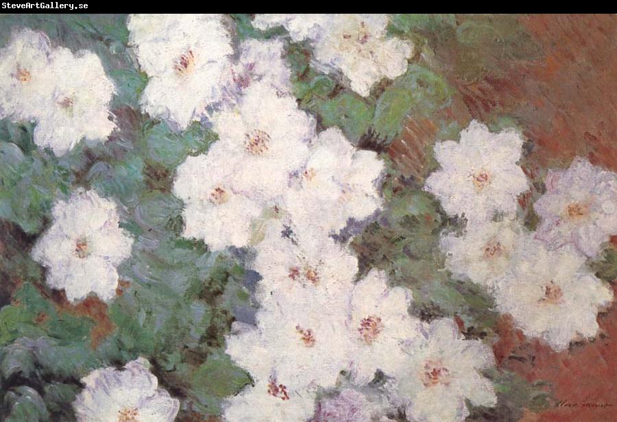 Claude Monet Clematis
